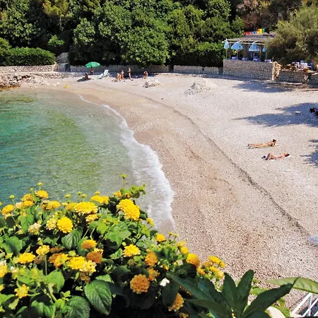And With Parking Space Plat, Dubrovnik - 23567 Pensionat 3*