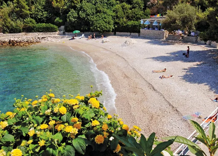 And With Parking Space Plat, Dubrovnik - 23567 Pensionat 3*