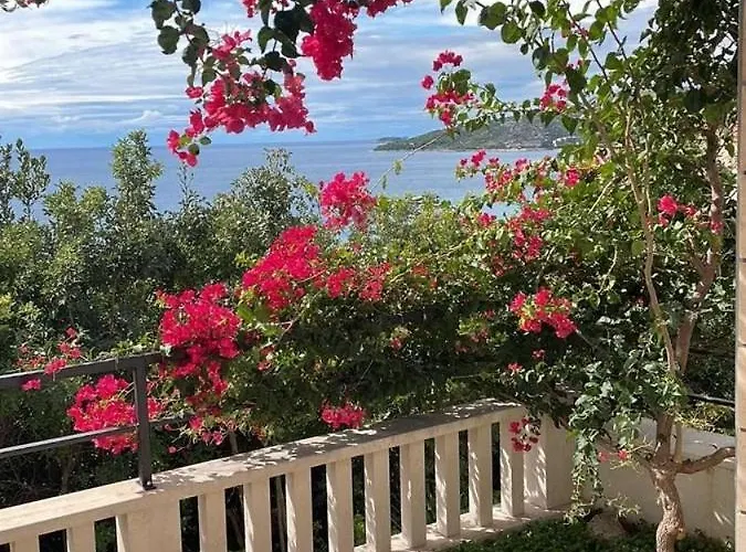 게스트하우스 And With Parking Space Plat, Dubrovnik - 23567